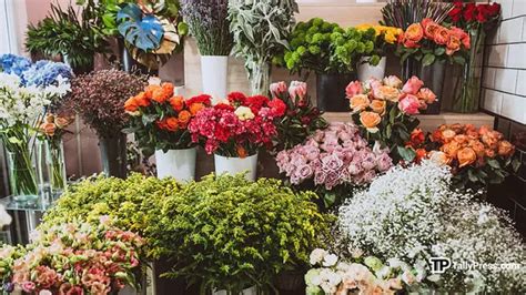 flower shop in las pinas|THE BEST 10 Florists near LAS PINAS CITY, MANILA, METRO .